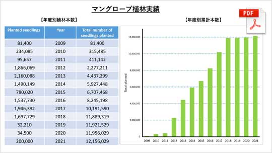 マングローブ植林実績 2009-2021