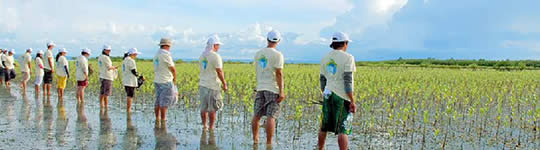 +O2 Mangrove planting activity